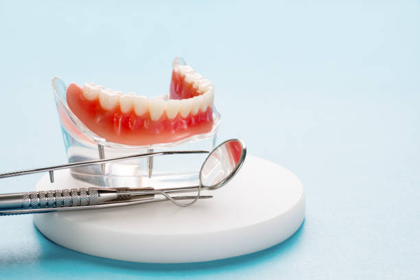 Professional Dental Services in Whitehouse, OH